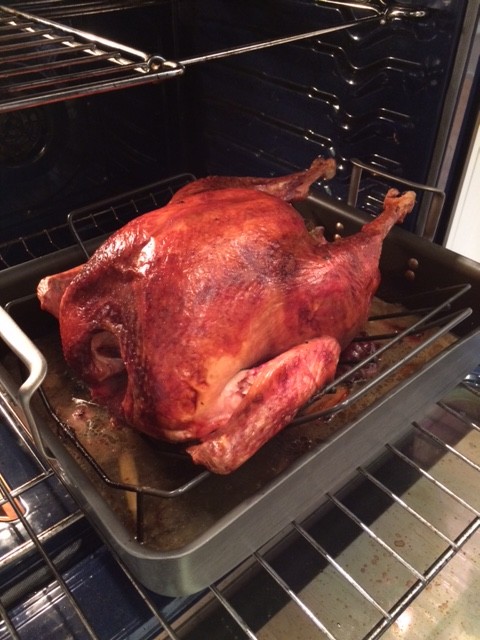 Fully cooked thanksgiving turkey coming out of the oven
